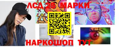 гашик Гатчина