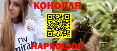 гашик Гатчина