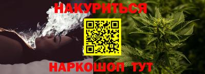 дмт Гай