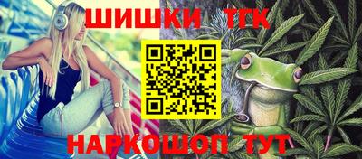 гашик Гатчина