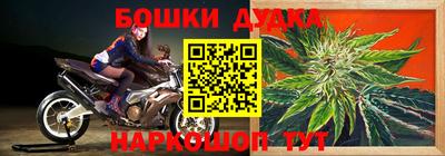 гашик Гатчина