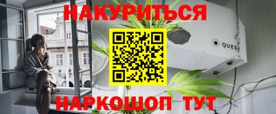 дмт Гай