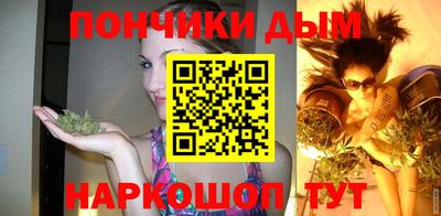 гашик Гатчина