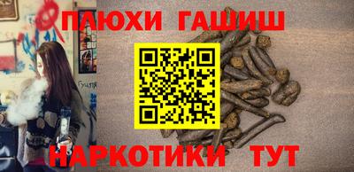 дмт Гай