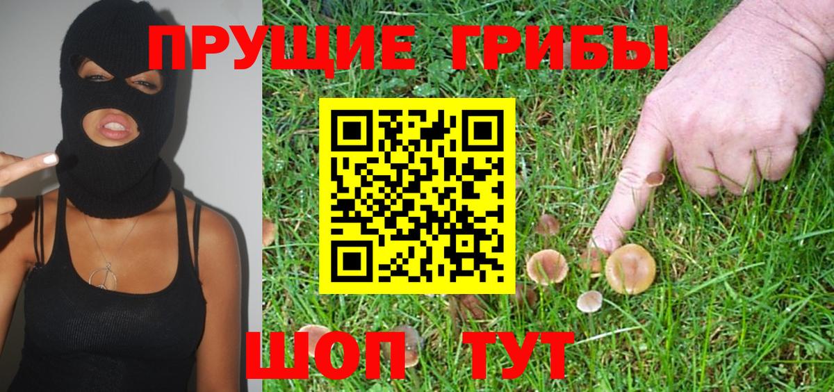 Горно-Алтайск  Галлюциногенные грибы ЛСД  Вход с VPN 
