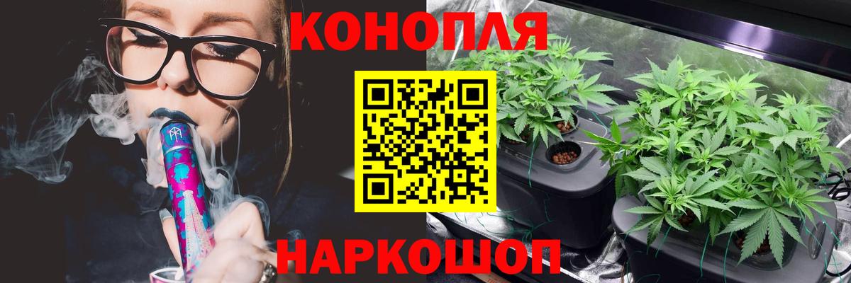 Конопля OG Kush Горно-Алтайск
